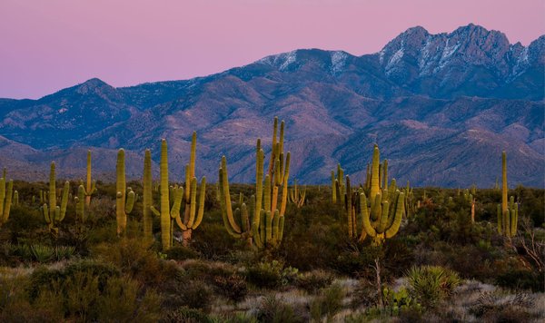 Les essentiels d'une routine visage pour une peau éclatante