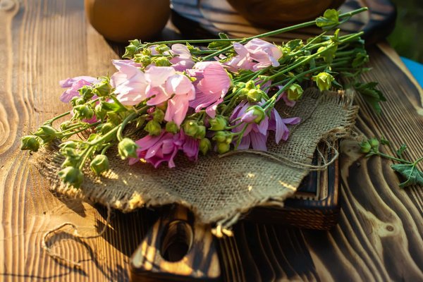 À la découverte du musc tahara