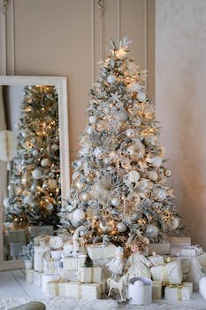 Quelles décorations choisir pour la fête de noël ?